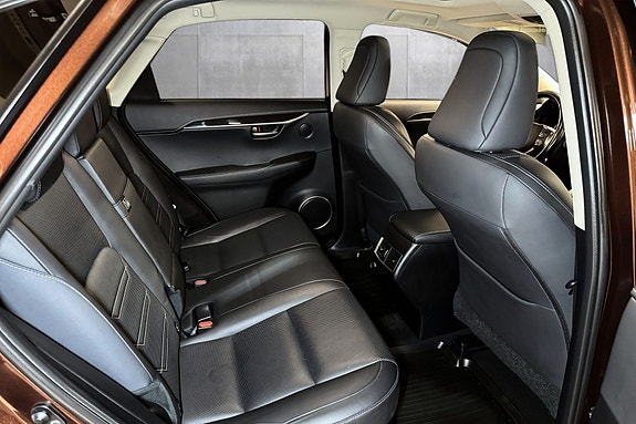 Lexus NX300h 13 of 26