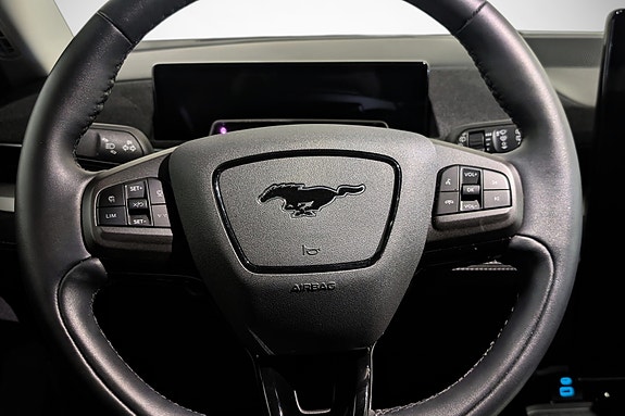 Ford Mustang Mach-E 14 of 27