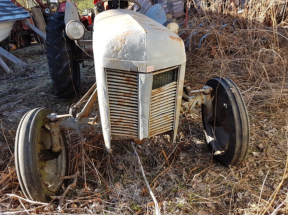 Massey Ferguson Gråtass TE-20 3 of 5