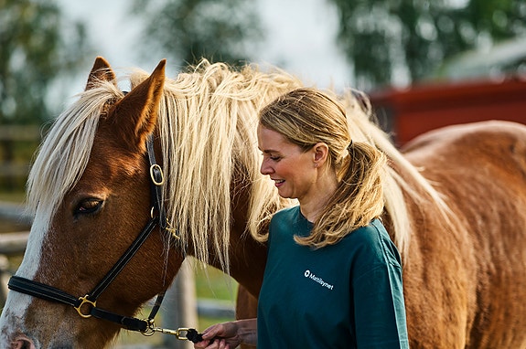 Inspektør med hest.