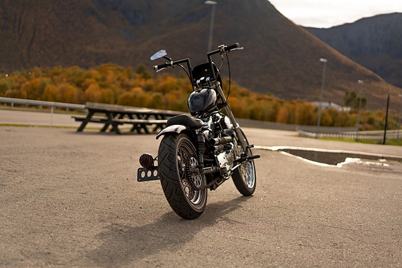 Harley-Davidson XL 883 Sportster 5 of 10