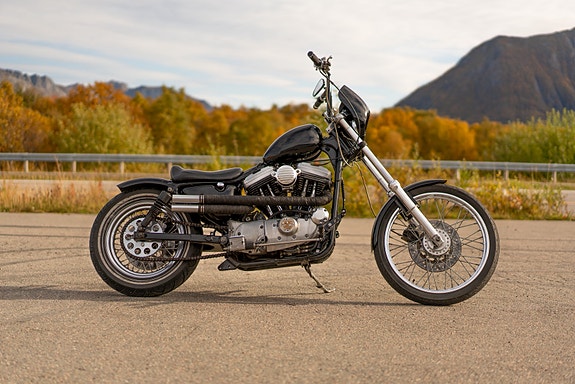 Harley-Davidson XL 883 Sportster 4 of 10