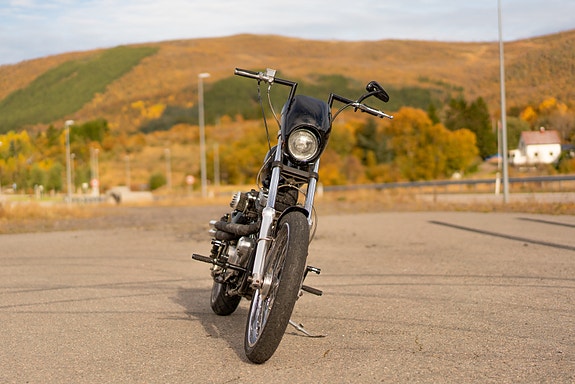 Harley-Davidson XL 883 Sportster 3 of 10