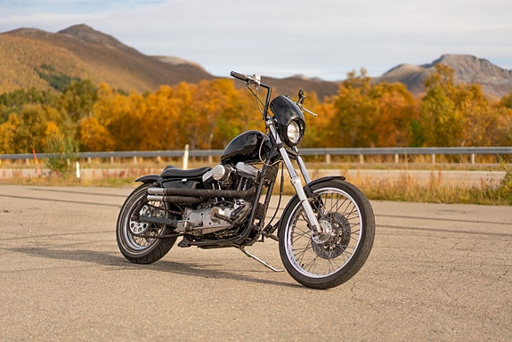 Harley-Davidson XL 883 Sportster 2 of 10