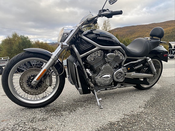 Harley-Davidson VRSCAW V-Rod 5 of 11