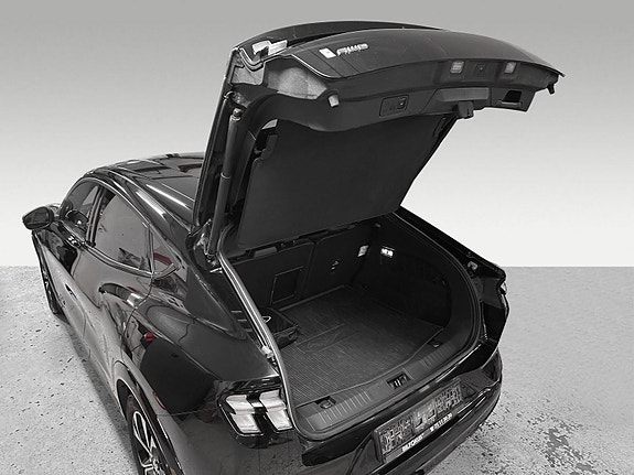 Ford Mustang Mach-E 14 of 18