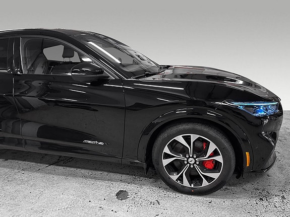 Ford Mustang Mach-E 17 of 18