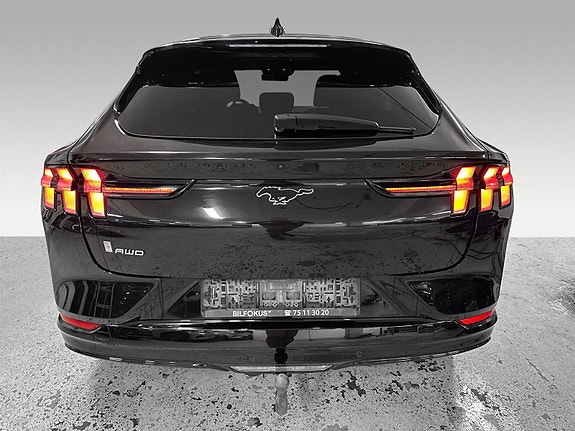 Ford Mustang Mach-E 15 of 18