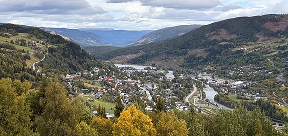 Buskerud fylkeskommune, Opplæring og kompetanse logo