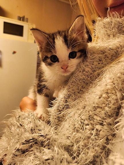 Product image 2 of 8