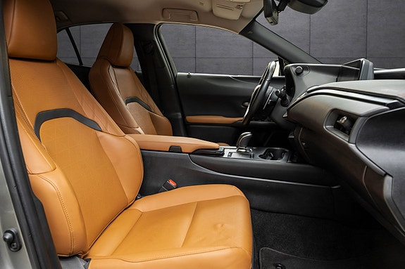 Lexus UX300e 23 of 25
