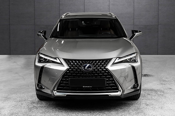 Lexus UX300e 6 of 25