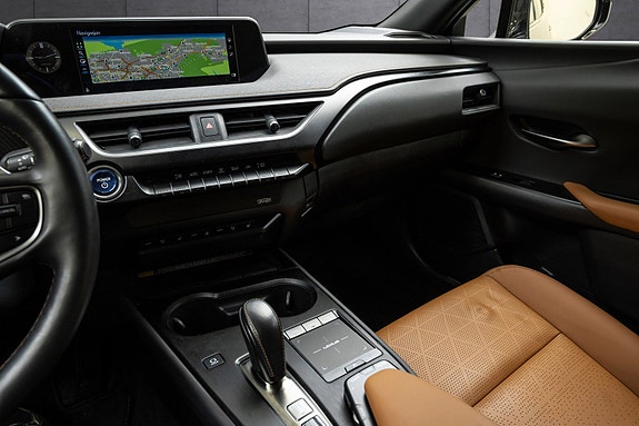 Lexus UX300e 13 of 25