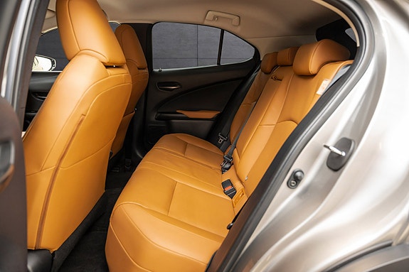 Lexus UX300e 22 of 25