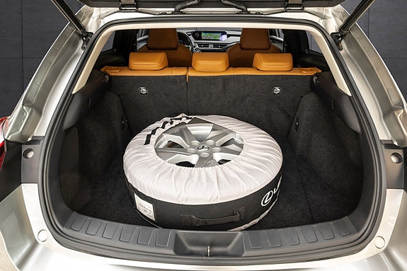 Lexus UX300e 20 of 25