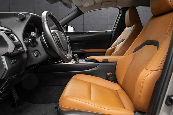 Lexus UX300e 7 of 25