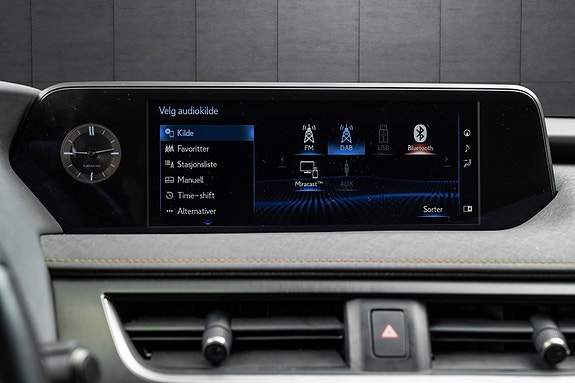 Lexus UX300e 19 of 25