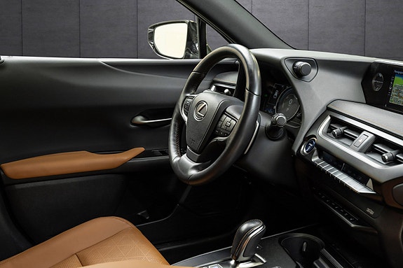 Lexus UX300e 25 of 25