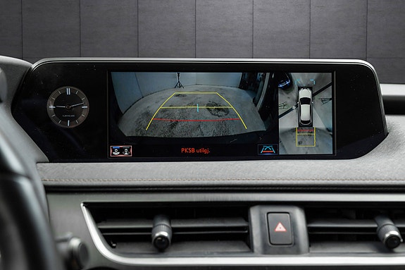 Lexus UX300e 17 of 25