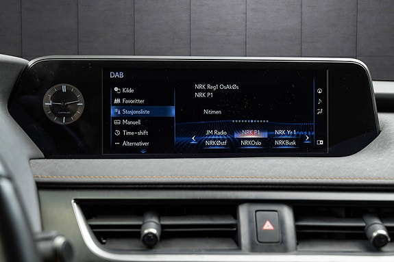 Lexus UX300e 18 of 25