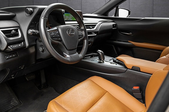 Lexus UX300e 9 of 25