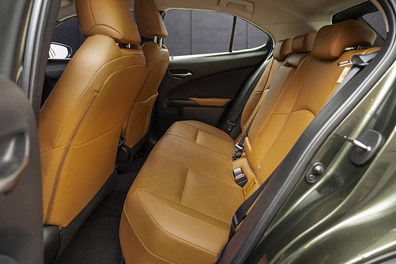 Lexus UX300e 22 of 25