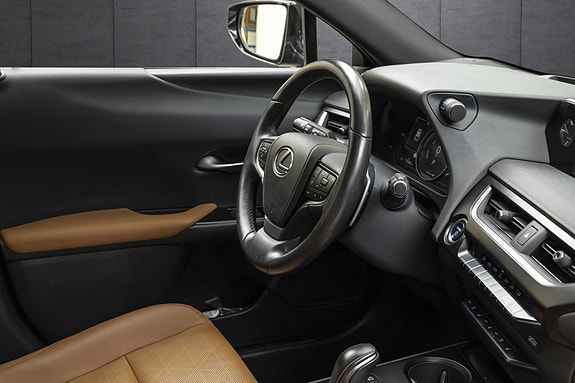 Lexus UX300e 25 of 25