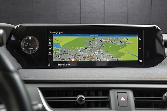 Lexus UX300e 16 of 25