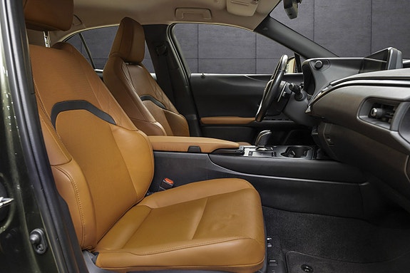 Lexus UX300e 23 of 25