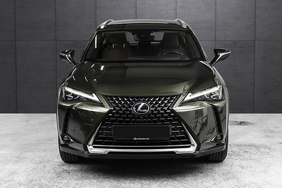 Lexus UX300e 6 of 25