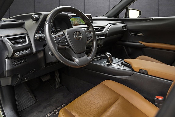 Lexus UX300e 9 of 25