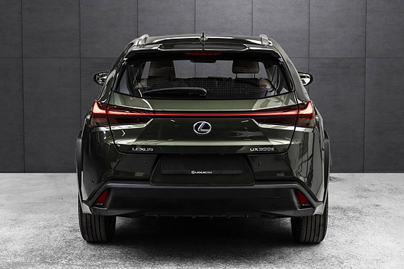 Lexus UX300e 3 of 25