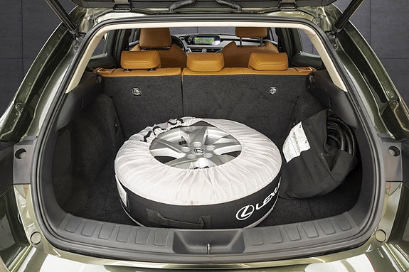 Lexus UX300e 20 of 25