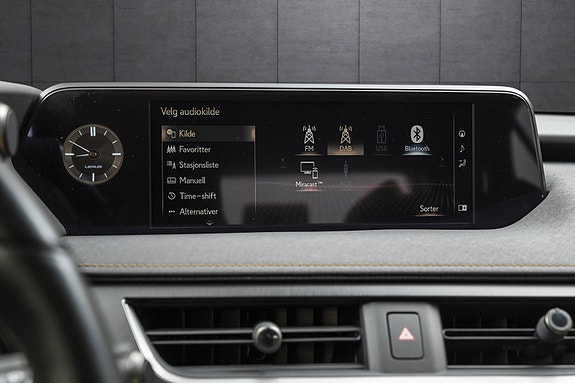 Lexus UX300e 19 of 25