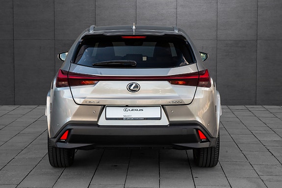Lexus UX300e 3 of 20