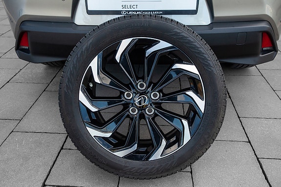 Lexus UX300e 19 of 20