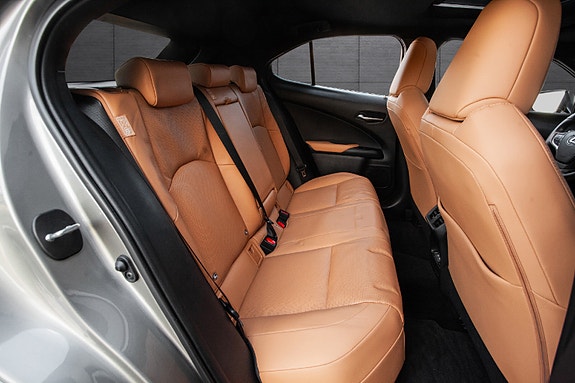 Lexus UX300e 15 of 20
