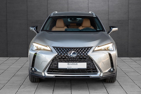 Lexus UX300e 6 of 20