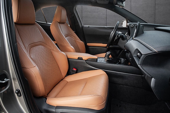 Lexus UX300e 16 of 20