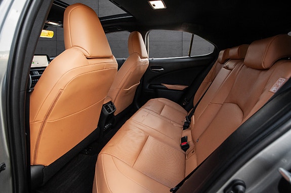 Lexus UX300e 14 of 20