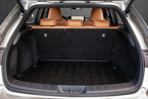 Lexus UX300e 17 of 20