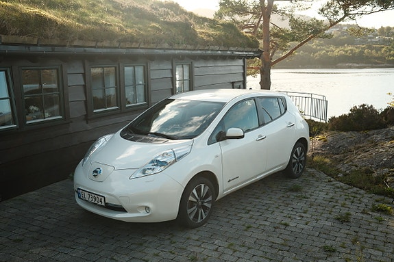 Nissan Leaf 22 of 30