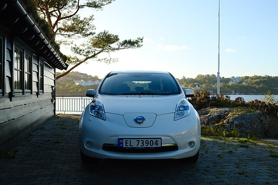 Nissan Leaf 25 of 30