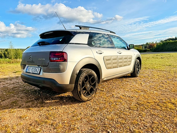 Citroen C4 Cactus 4 of 5