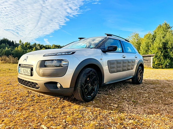 Citroen C4 Cactus 5 of 5