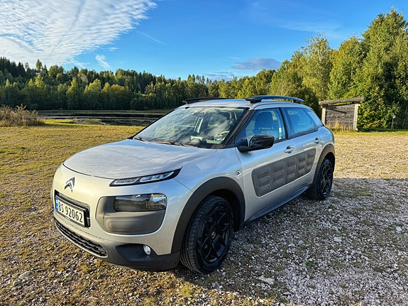 Citroen C4 Cactus 3 of 5