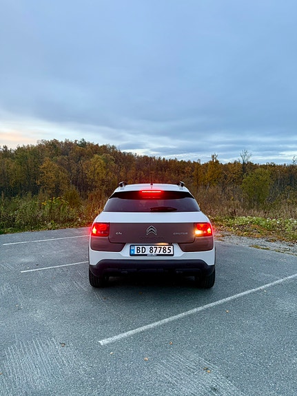 Citroen C4 Cactus 4 of 23