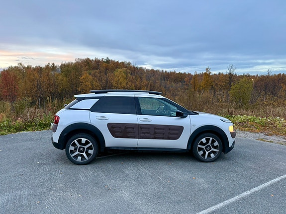 Citroen C4 Cactus 6 of 23