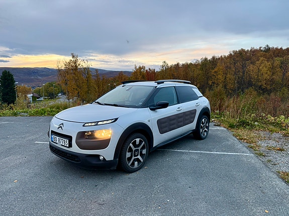 Citroen C4 Cactus 3 of 23