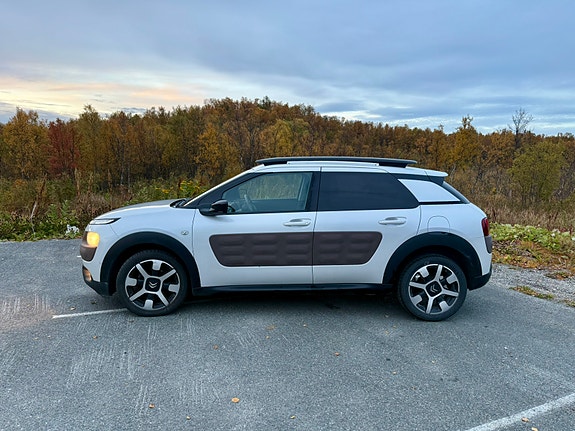 Citroen C4 Cactus 5 of 23